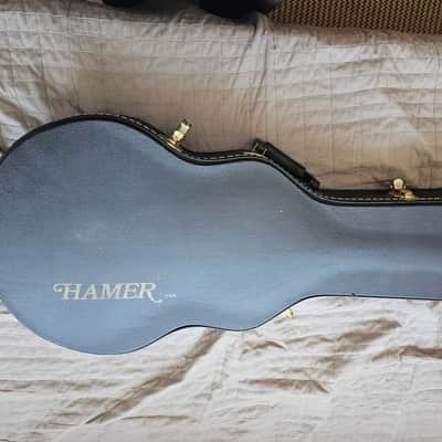 Hamer SPECIAL Gibson P90 1993 original owner image 12