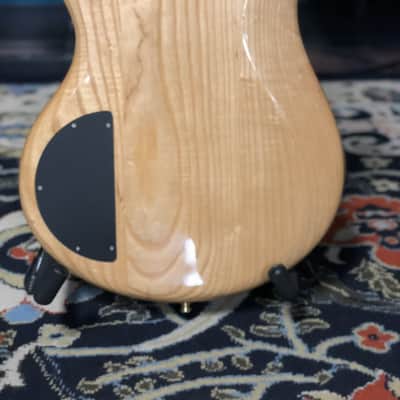 Preowned - Alembic Excel-4 w/ case image 6