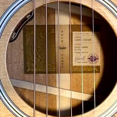 Taylor Gold Label 517e - Grand Pacific - Natural image 10