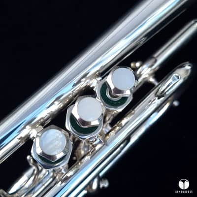 Custom Schilke Chicago A1 cornet mouthpiece case gamonbrass image 9