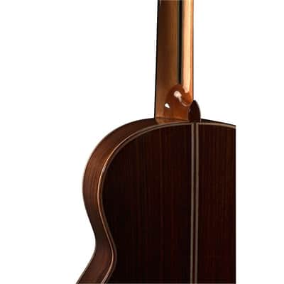 Classical Guitar Manuel Rodriguez Manuel JR Hand Made! Concert Instrument. image 3