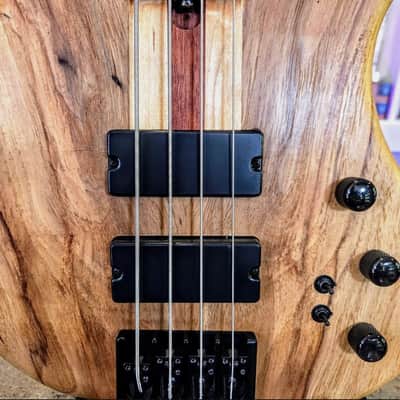 Muckelroy Custom lined fretless Bass image 10
