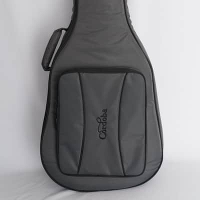Cordoba  Fusion 12 Rose Classical Acoustic-Electric Guitar image 15
