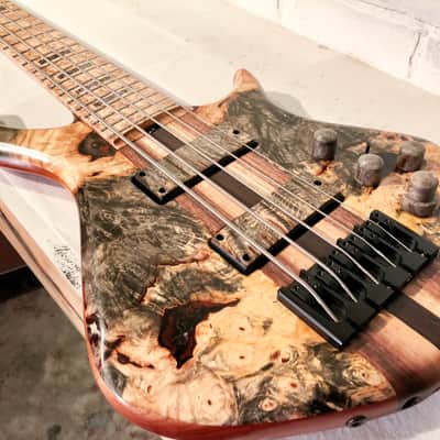 Warrior Dran Michael Buckeye Burl 5 String - Showroom Demo image 4