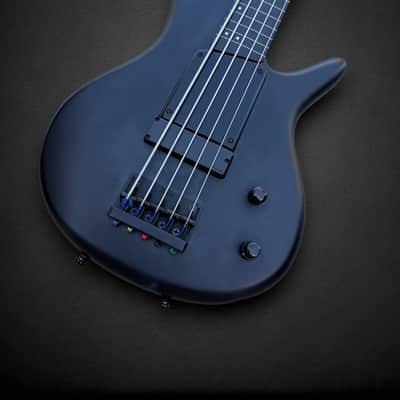 Ibanez GWB 35 Gary Willis Signature Fretless 5 2010s - Matte Black image 3