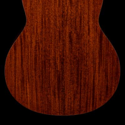 Taylor Custom Shop Select 318e #24100 (NAMM) image 2