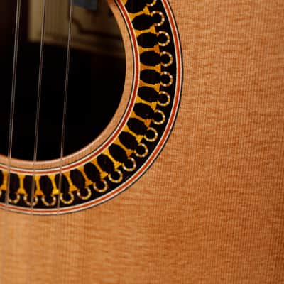 Yulong Guo "Philharmonic" Doubletop 2026 Classical Guitar. Guo's flagship model! VIDEO REVIEW image 3