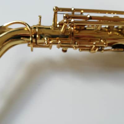Yanagisawa Alto saxophone 1986 Gold image 11