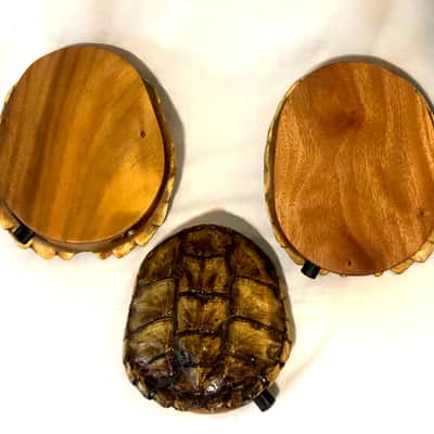 Electric turtle shell space drum image 8