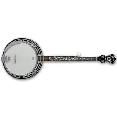 Ibanez B300 5-String Banjo, 22 Frets, Mahogany Neck, Rosewood Fretboard, Abalone Resonator Binding image 1