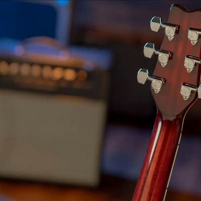Washburn Wing American Hawk 78 - Vintage Sunburst, Crafted in Washuburn's US Custom Shop, Ash Body w/ Carved Maple Top, Neck-through Design, B-Stock image 5