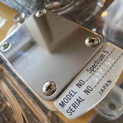 Very Rare Museum Grade 1990's Japanese Teisco Spectrum 5 Acrylic with OHSC. 100 built Worldwide image 9