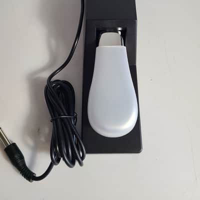 Alesis ASP-2 image 1