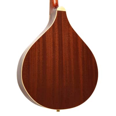 Gold Tone OM-800+/L Arched Solid Spruce Octave&Mahogany Neck Mandolin w/Hard Case For Lefty Players image 5