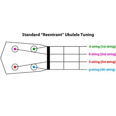 Aquila USA 7U Concert Ukulele Strings image 3
