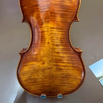 Ming-Jiang Zhu 909 image 2