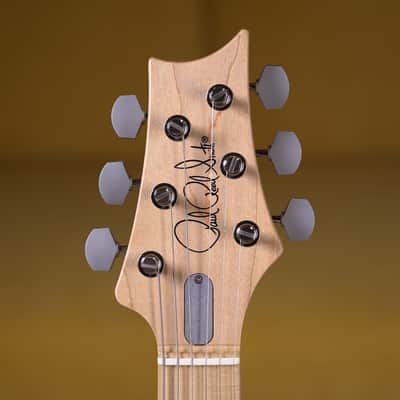 New PRS Silver Sky Maple - Frost image 5