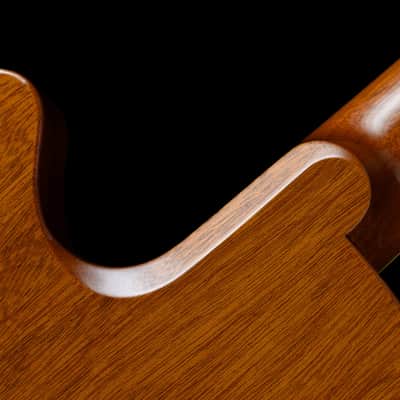 Jersey Girl Homemade Guitars - The first Audrey model ever made: "Audrey One" image 3