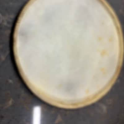 14 “ WFL Calf skin snare drum heads-1950s ? Batter & snare image 3