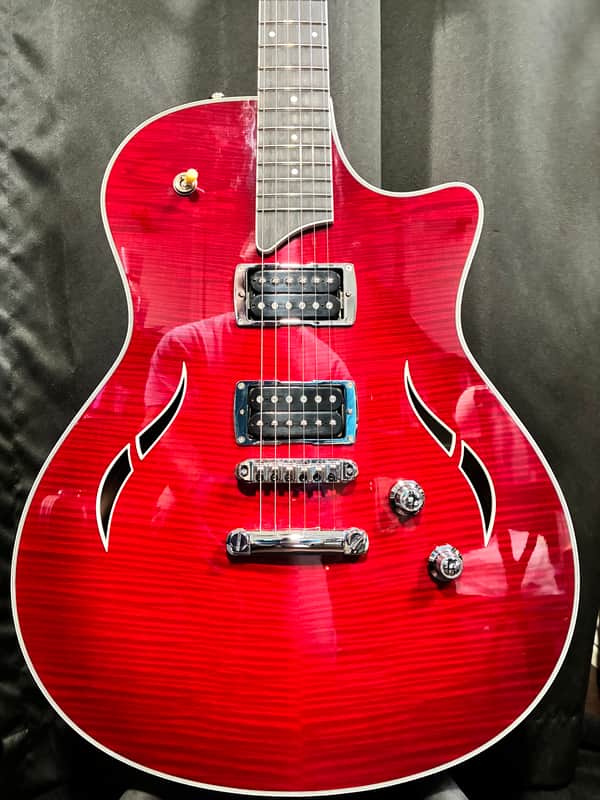 Taylor T3 2009 - Present - Red Edge Burst image 1