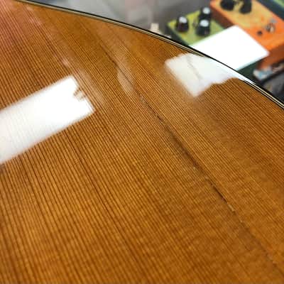 Taylor Custom GA Nylon String, 2012, with Case - Pre Owned image 22