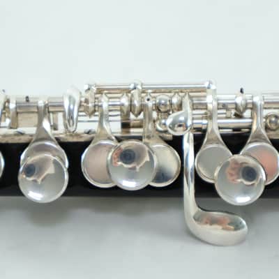 Braun Handmade Grenadilla Piccolo SN 410 OUTSTANDING image 10