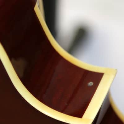 Michael Kelly Dragonfly Custom II Limited Edition Electric Mandolin LH W/Case image 13