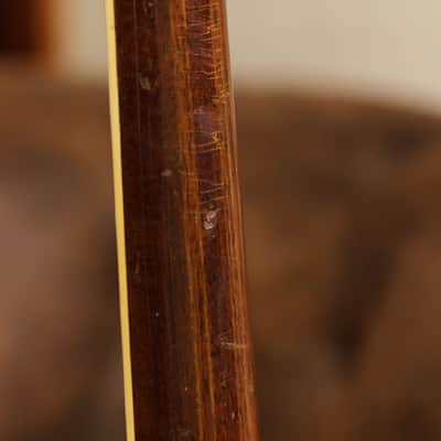 Gibson Firebird III 1964 - sunburst image 13
