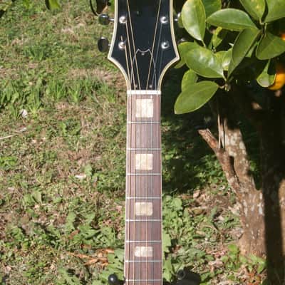 1970's Granada J200 by Matsumoku Japan - Sunburst Bargain! image 4