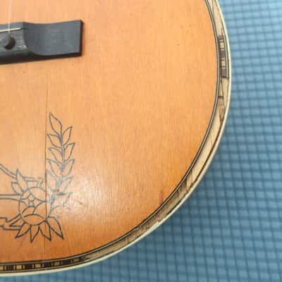 Antique Vintage 1930s Regal Parlor Guitar Project Scenic Floral Stencil Washburn Ditson Original Cloth Latch Case image 17