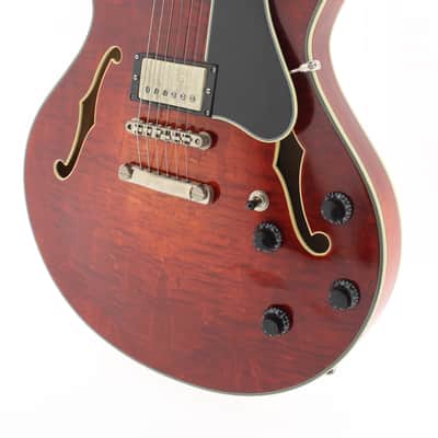 Eastman T59/TV - Vintage Classic image 4
