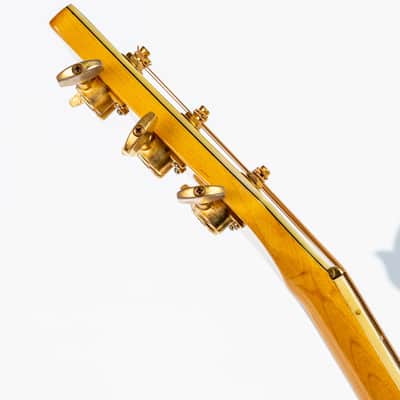 Daion The Year Series '81 Caribou - Tinted Tan (TAN) - Electric Acoustic Six String image 12