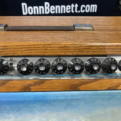 Charlie Daniels' Fender 1969 Twin Reverb Amp with Custom Cowboy Painting Front Panel 1969 - Mahogany image 6