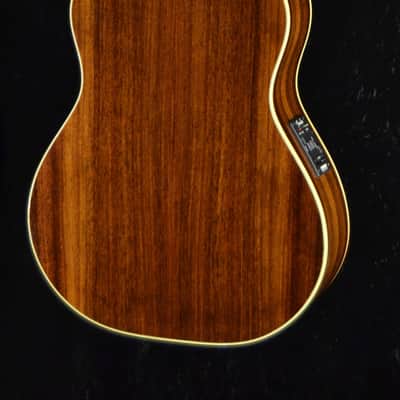 Fender  LS-20 (boutique) 1995 image 9