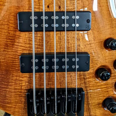 Roscoe Century Signature 5: Koa, Birdseye Maple, Wenge, Ash & More! image 7