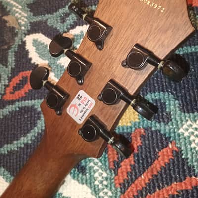 Epiphone Dot Studio 2005 - 2007 - Worn Brown image 3