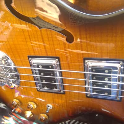 2006 Lakland Hollowbody Deluxe HB87 with Case image 3
