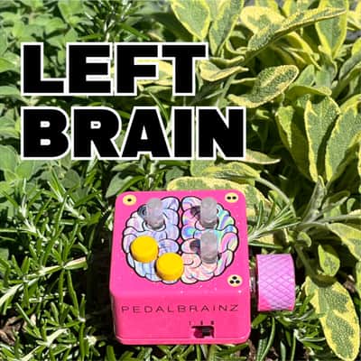 Pedal Brainz Left Brain - Expression Modulator image 1