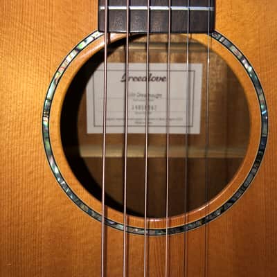 Breedlove Solo Dreadnought Cutaway Acoustic/Electric Guitar 2016 - Gloss Natural image 2