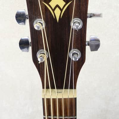 Washburn WL012SE-0 Acoustic/Electric #CC201113216 w/HSC USED image 5
