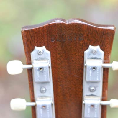 Gibson b-25 1966 - red image 13