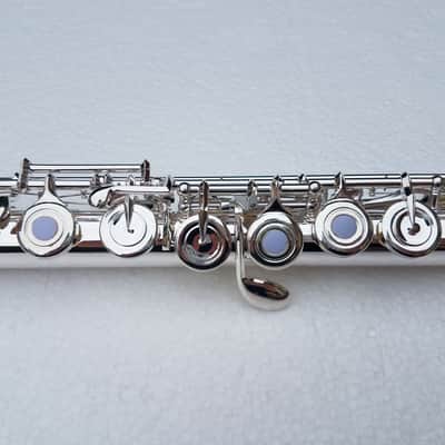 17 Open Hole Silver-Plated French Point Keys Flute with Hard Case and Fleece-Lined Canvas Bag image 8