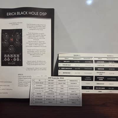 Erica Synths Black Hole DSP + Dsp expansion chip image 5