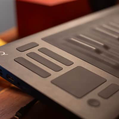 ROLI Seaboard RISE 25 2010s - Black image 2