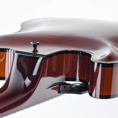 Tim Bram Tribute Archtop Caramel 2021 image 10