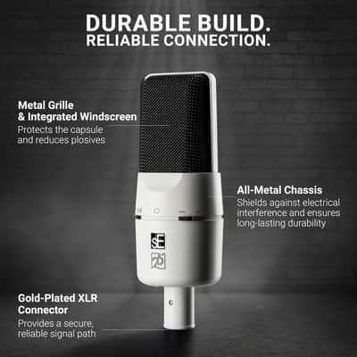 SE ELECTRONICS X1 A 2C Large Diaphragm Condenser Microphone with 100 Hz Filter & -20 dB Pad - XLR Condenser Mic for Singing & Instruments - Professional Studio Microphone for Recording (White) image 7