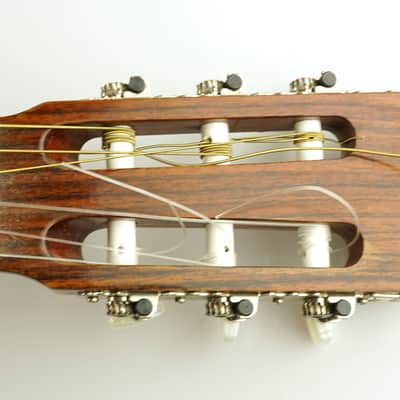 Esteve 3ECE Electro-Classical Guitar (Made in Spain) image 5