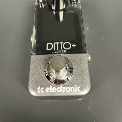 TC Electronic Ditto+ Looper Guitar Effects Pedal w/ 99 Memory Slots & Color Display image 1