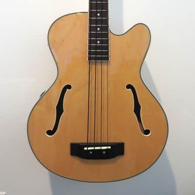 Samick Artist Series HFB-590 Bass Guitar image 2