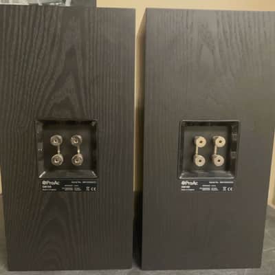 ProAc Studio SM100 studio monitors - Light home studio use image 2